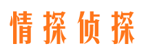 彭山市侦探调查公司